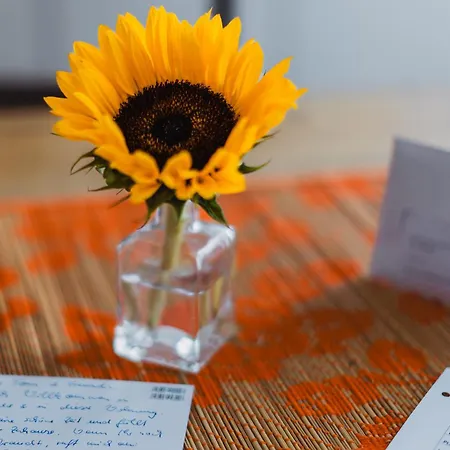 Charmanter Altbau Zwischen Altstadt Und Klinikum Mit Parkplatz *